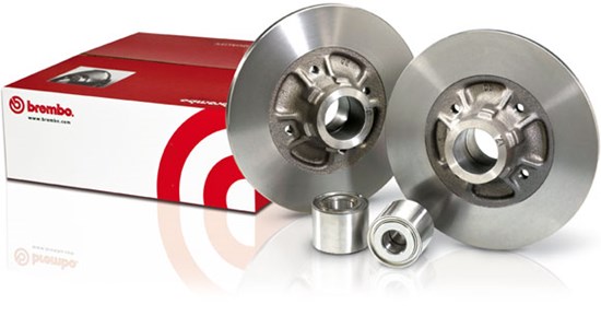 Packaging of discs with built-in bearing
