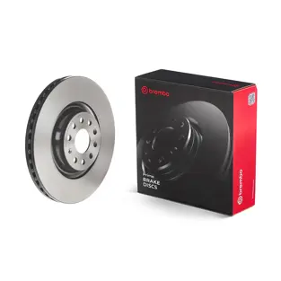 Brake disc Brembo 09.C306.1X