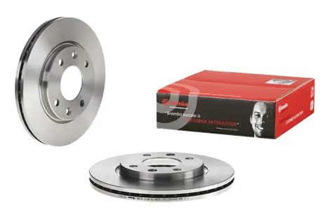 Brake disc Brembo 09.5196.1X