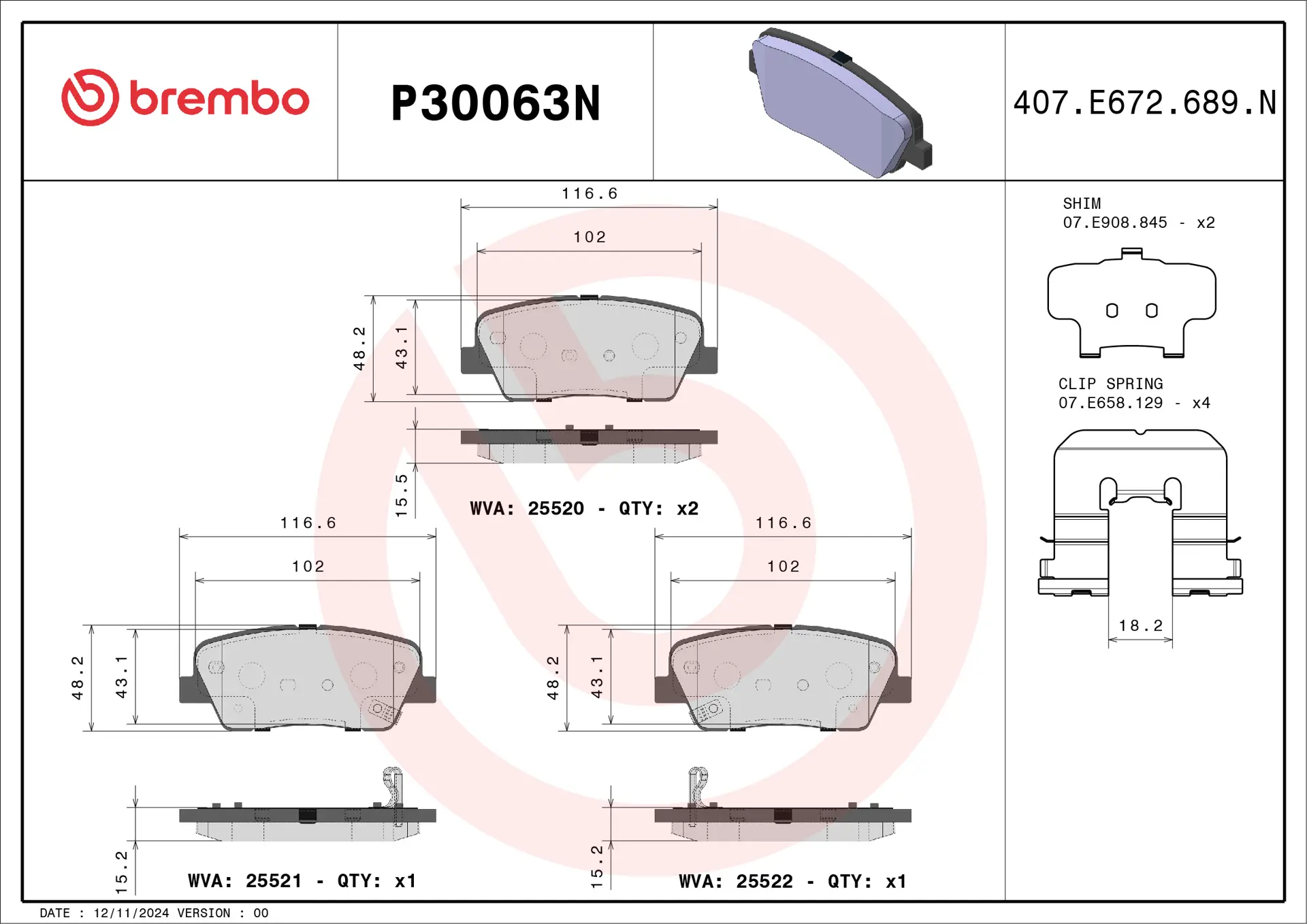 P30063N