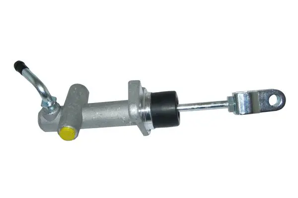 C 10 004