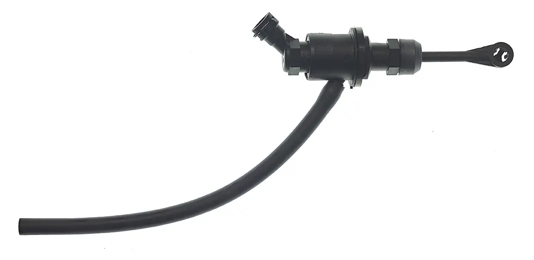 C 56 031