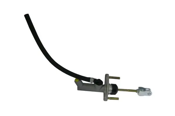 C 30 019