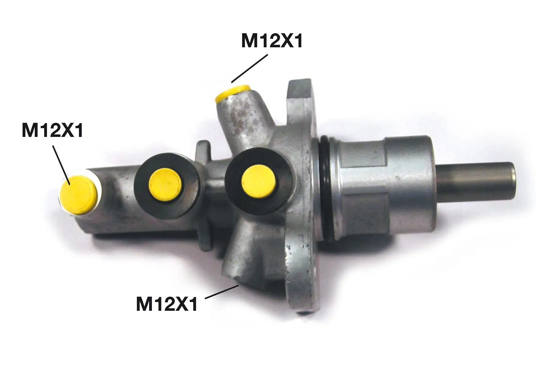 M 06 019
